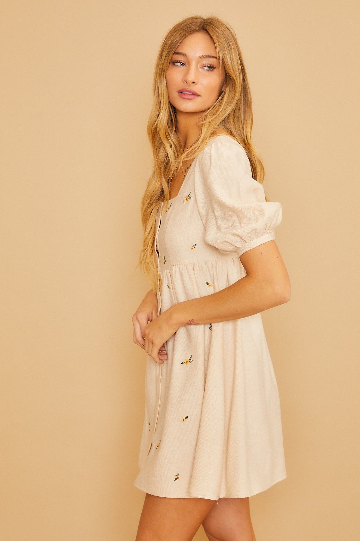 Dream a Little Dream Embroidered Dress