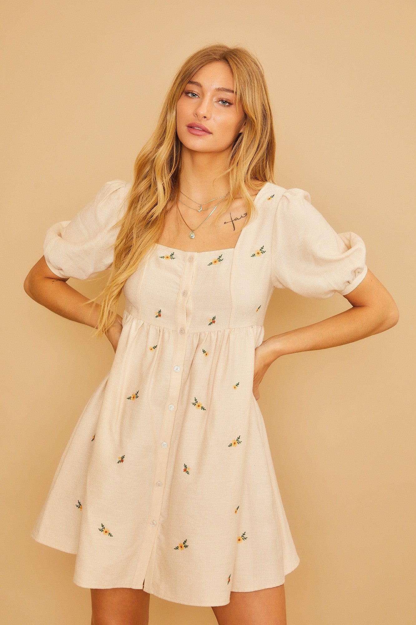 Dream a Little Dream Embroidered Dress